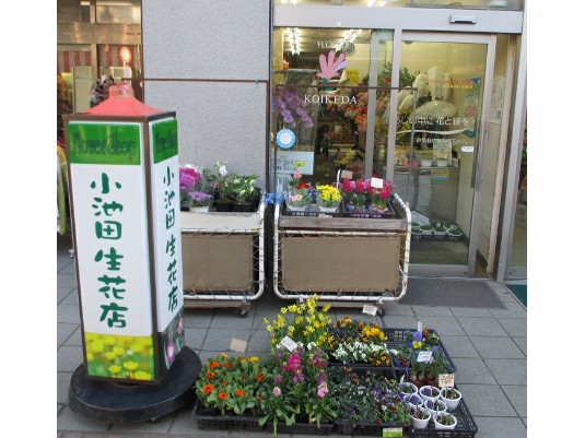 小池田生花店　